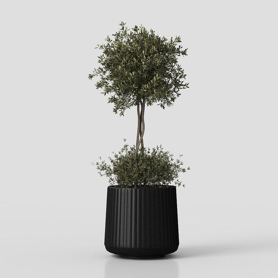 Ensemble de plantes d'intérieur