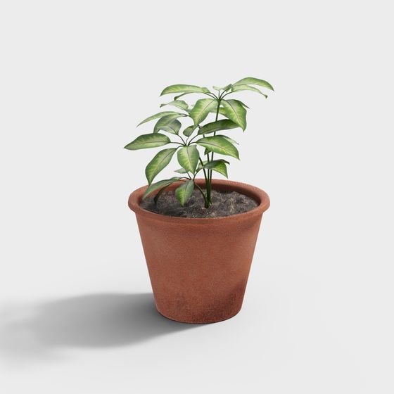 Realistic Indoor Plant 3D model for Designers