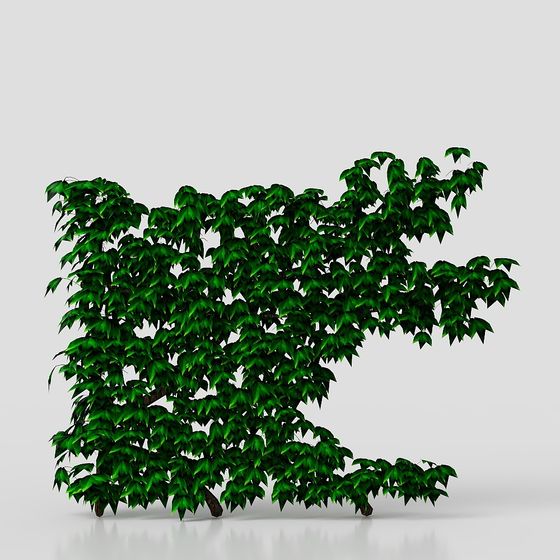 Lively Vining Plant 3D Model