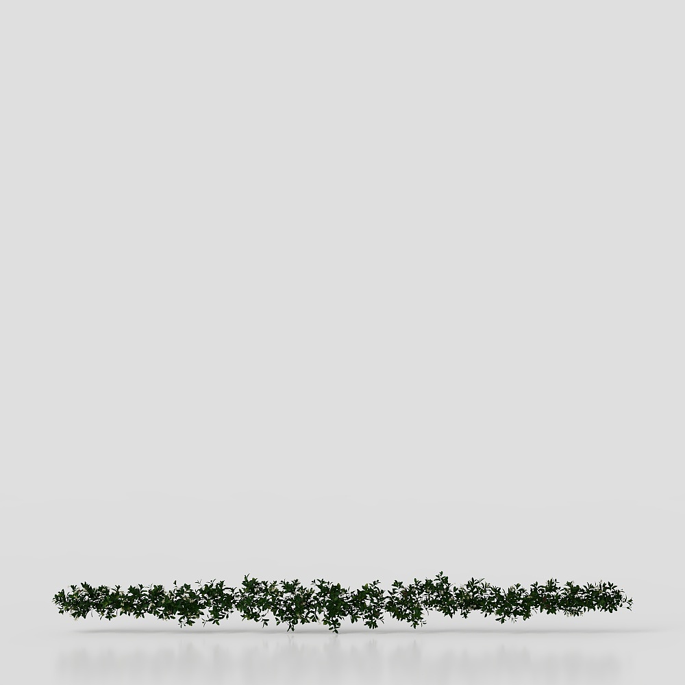 Modern Green plant vines