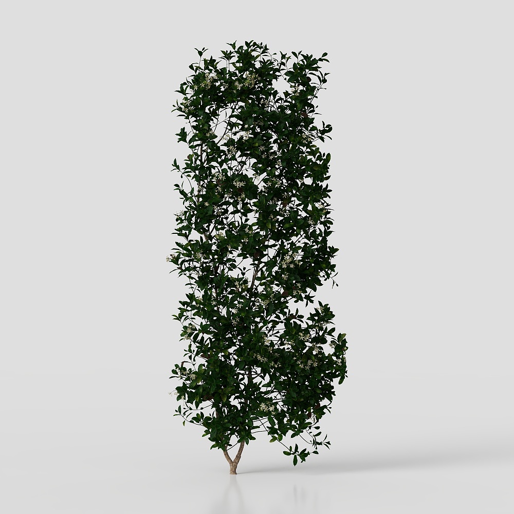 Cây Cỏ Xanh Tươi Nguyên Khối Hiện Đại