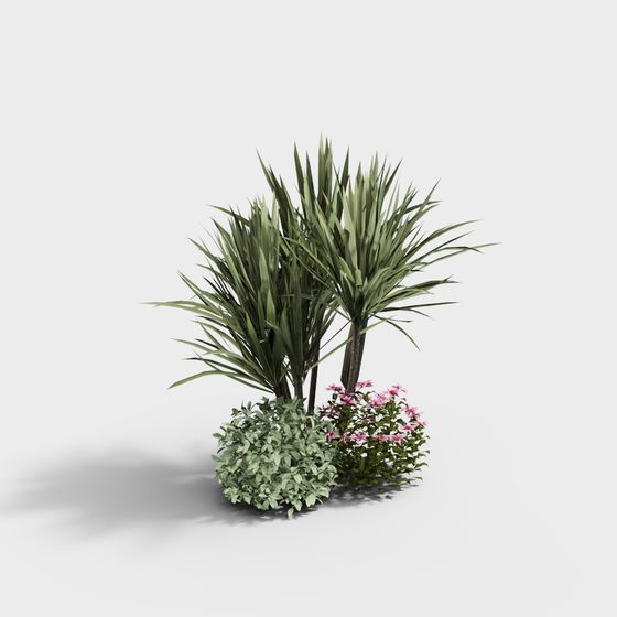Tropical Plants 3D model for Creative Projects
