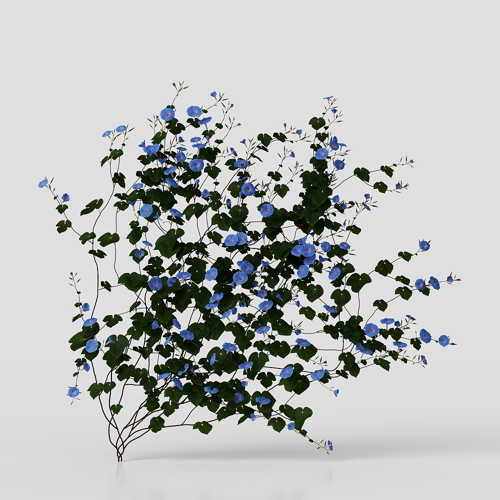 Lianes de plantes vertes modernes