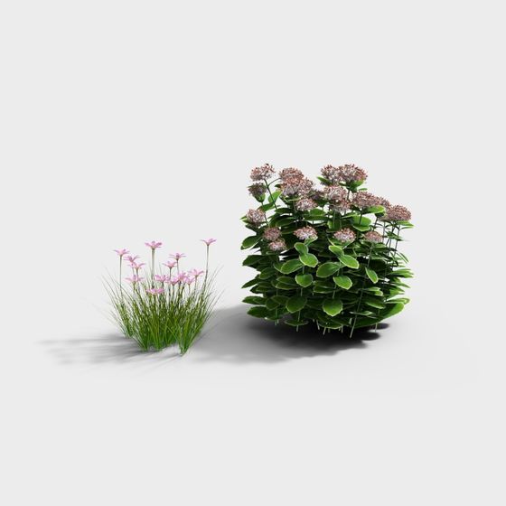 Dreamy Flower Patch 3D model