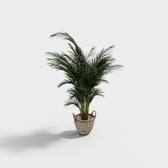 Charming Indoor Green Plant Pot 3D Model