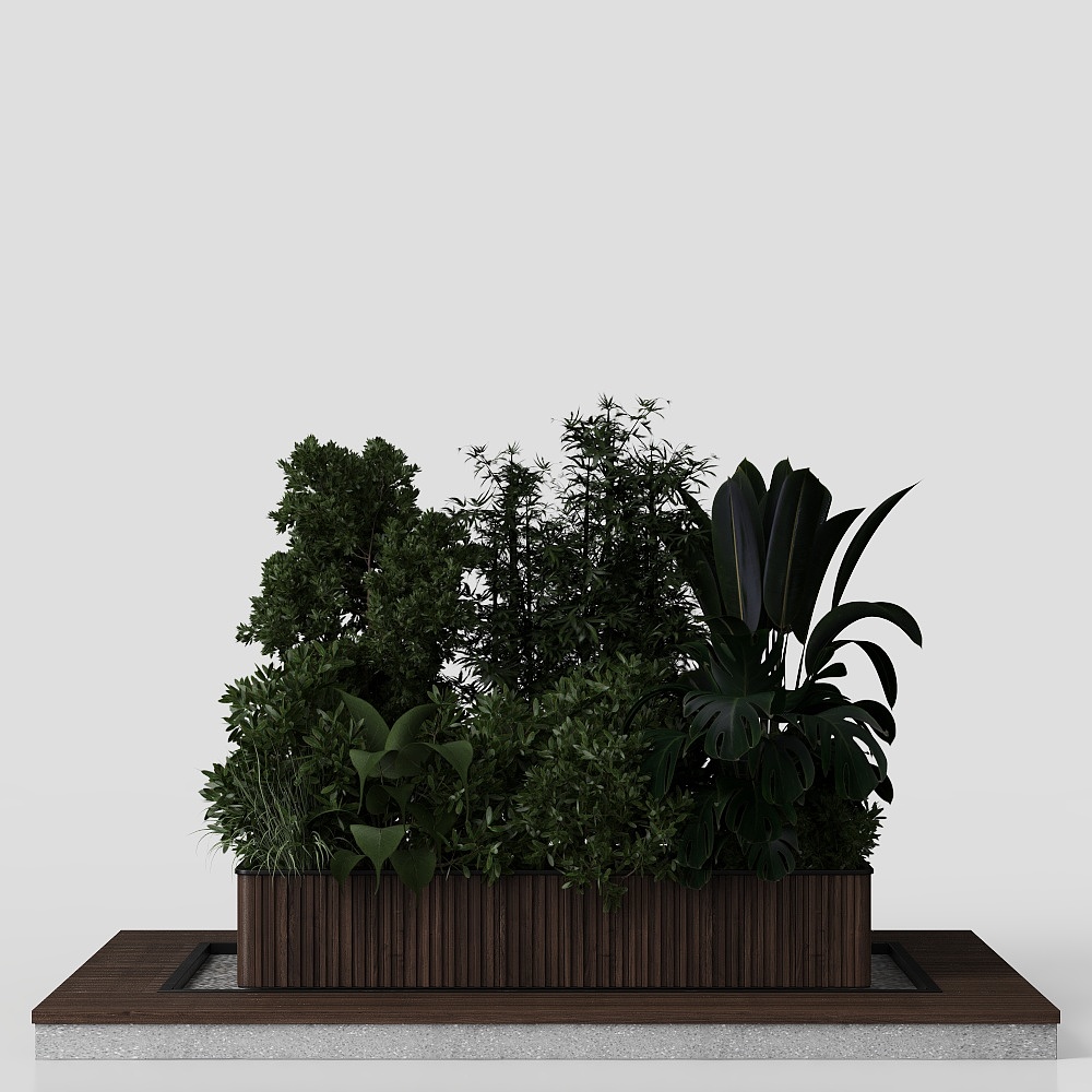 Outdoor plant Collection 114 - Wooden box for plan
