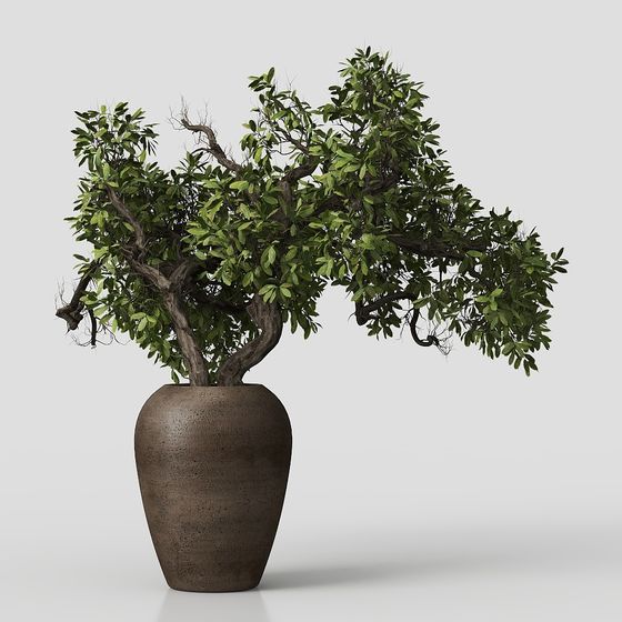 Bonsai Ancient Tree 3D model for Designers
