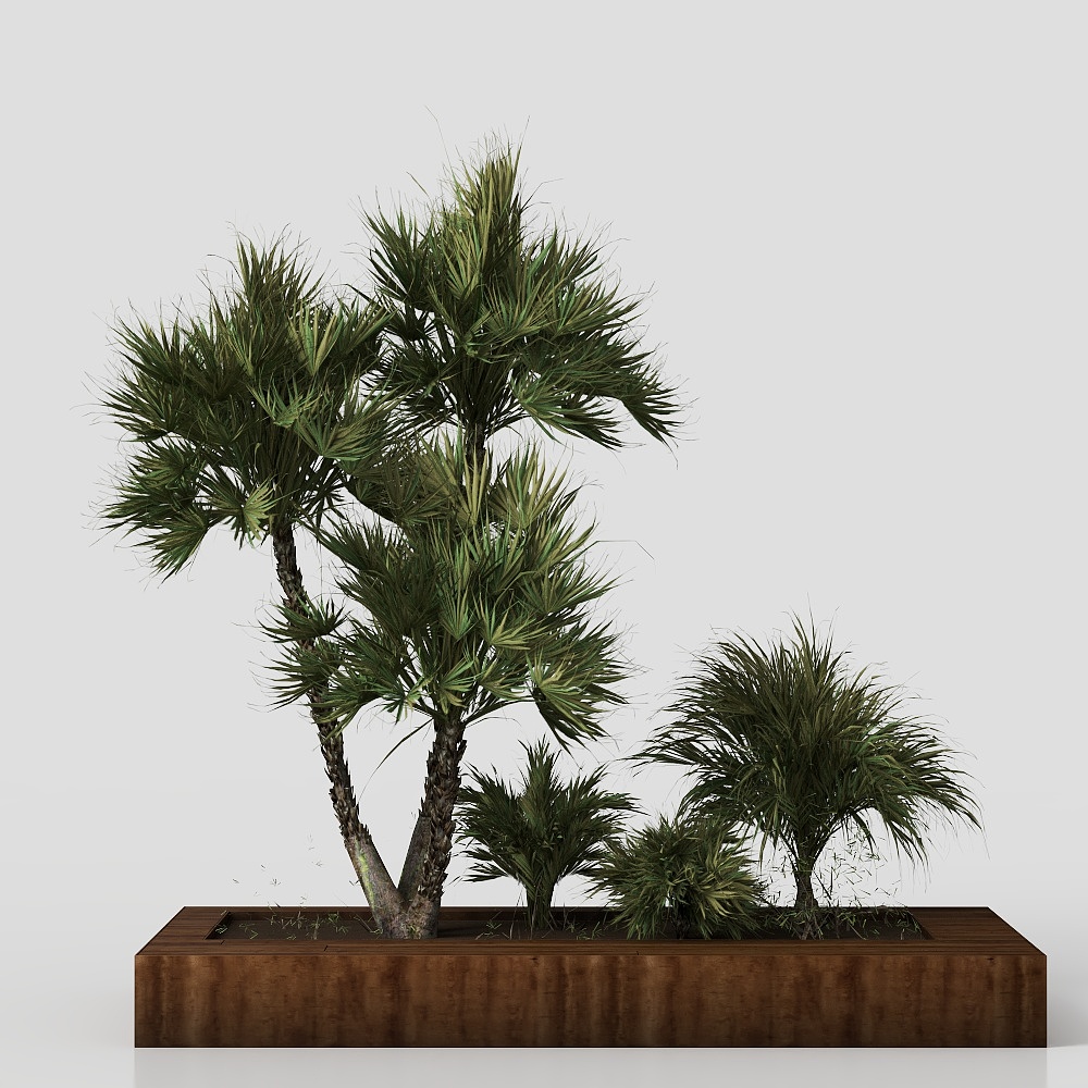 Уличные растения