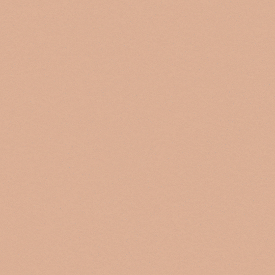 Quality Wall Paint 3D Model for Modern Touch