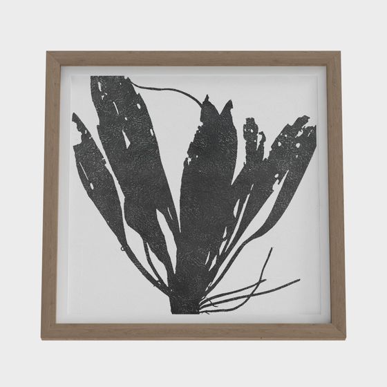 Seaweed Frame 3D model