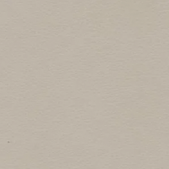 Paint Finish 3D Model for Interior Walls