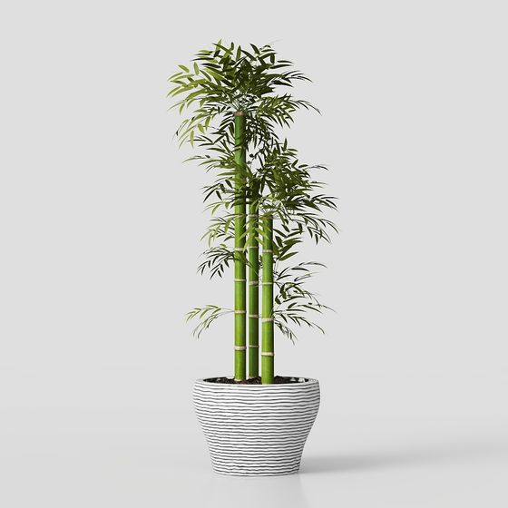 Low-Poly Bamboo Potted Plant 3D model