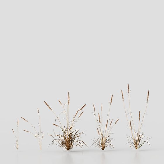 Autumn Meadow 3D model