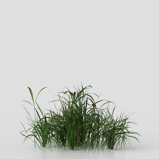 Vibrant Grass Clump 3D Model for Design Projects