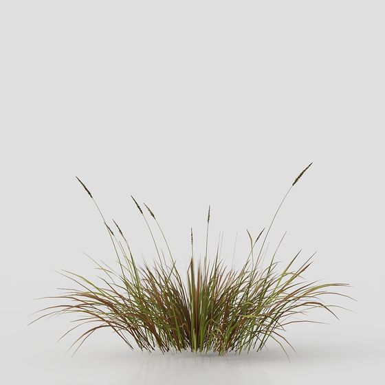Realistic Low-Poly Grass Bush 3D model