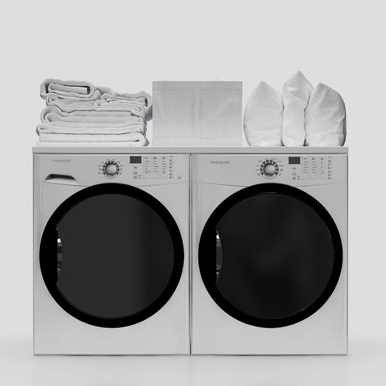 Minimalist Double-Door Washing Machine 3D model