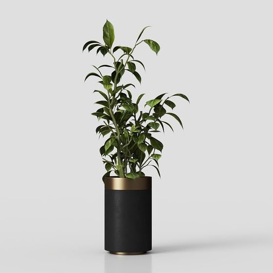 Elegant Low-Poly Plant Pot 3D Model