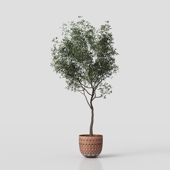 Urban Oasis Olive Tree 3D model for Creative Spaces