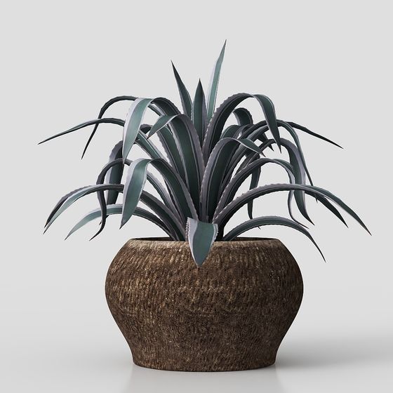 Desert Oasis Potted Plant 3D model for Contemporary Design