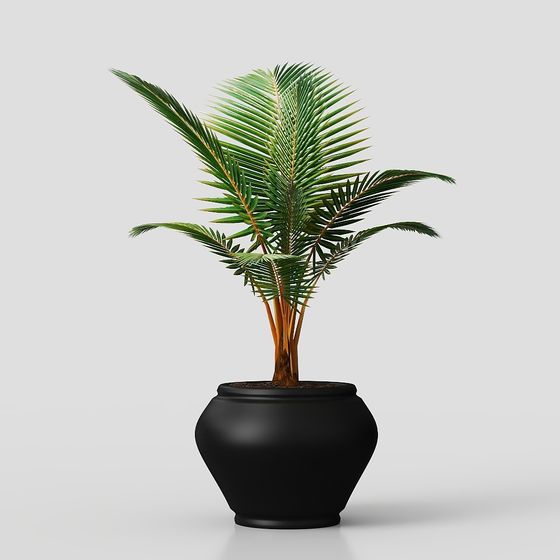 Low Poly Indoor Plant 3D model