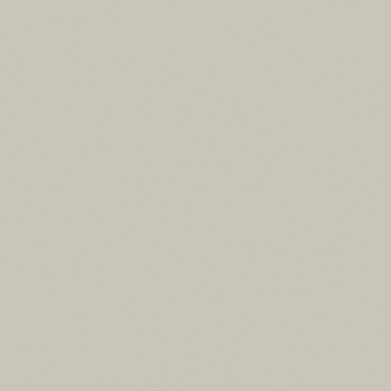 Revere Pewter HC-172 Wall Paint 3D Model