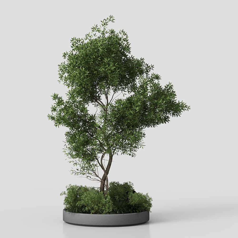 Collection outdoor indoor 85 pot plant &amp; tree &amp; bu