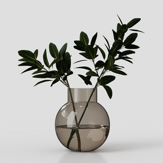 コレクション屋内植物01