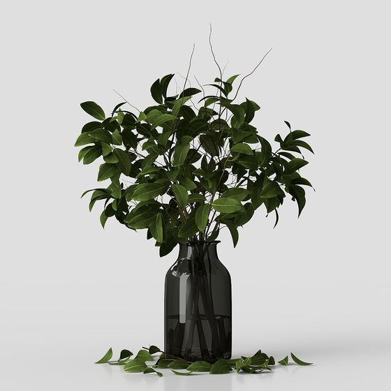 Коллекция_Комнатные Растения02