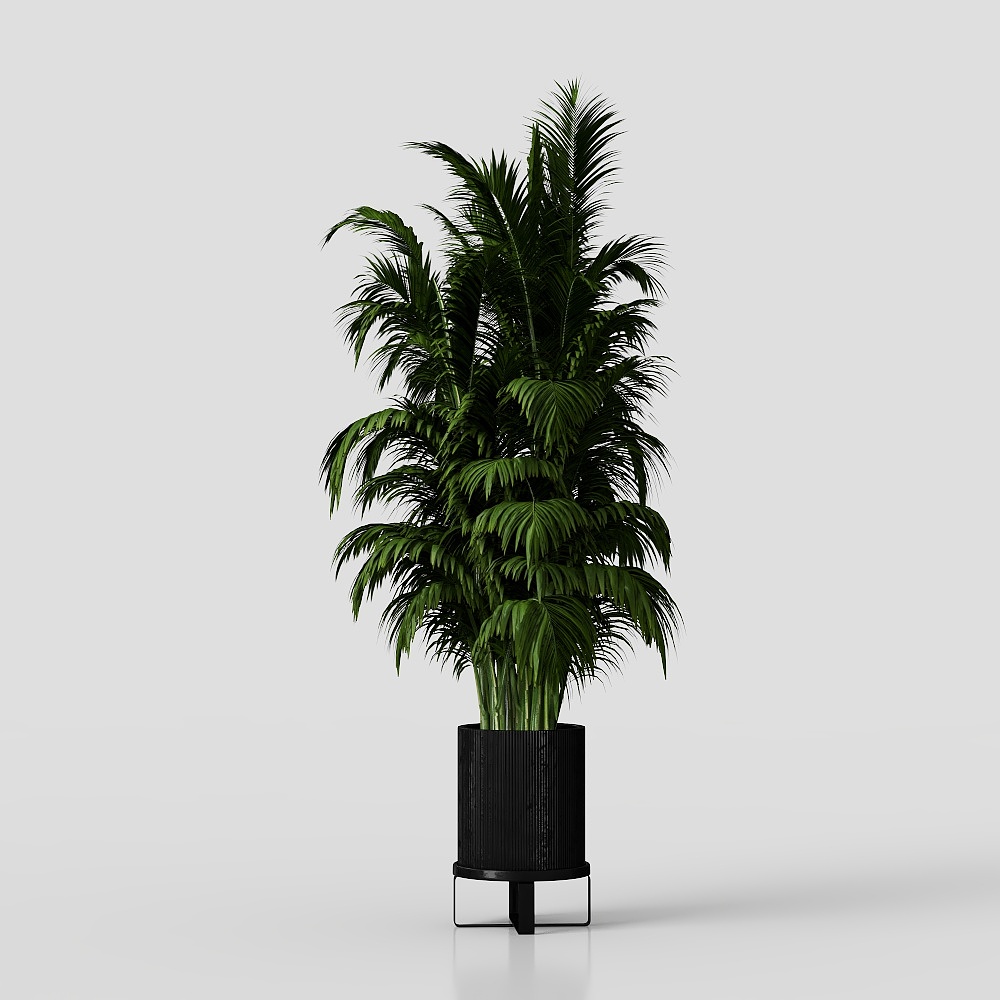 Realistic Indoor Plant 3D Model for Modern Spaces