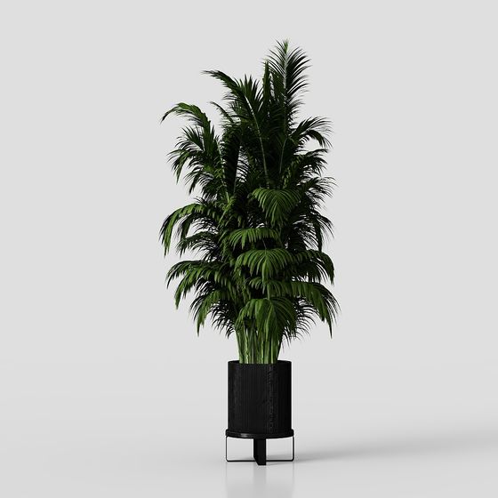 Realistic Indoor Plant 3D Model for Modern Spaces