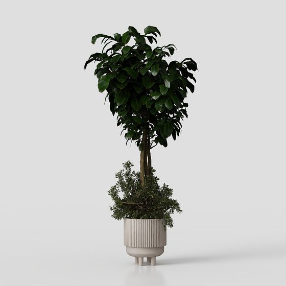 Stylish Indoor Plant Pot 3D model for Creative Projects