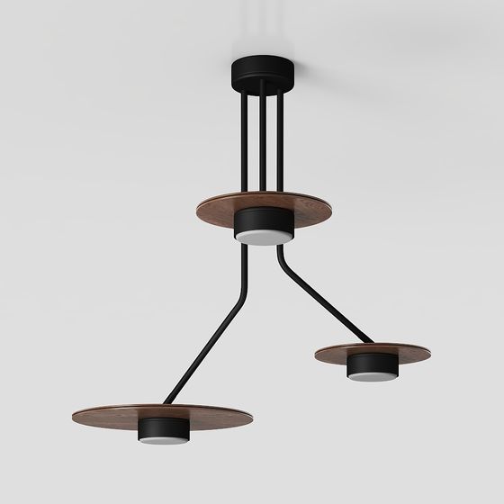Modern Minimalist Pendant Light 3D model