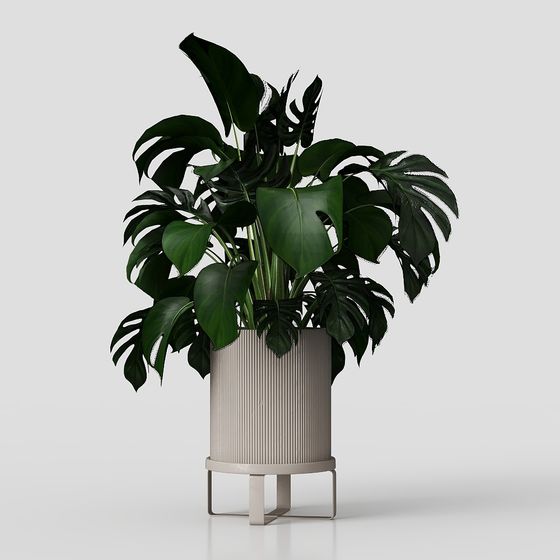 Monstera Plant Stand 3D model for Modern Spaces