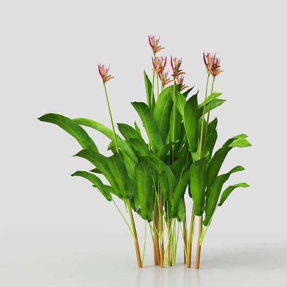 Vibrant Tropical Foliage 3D model