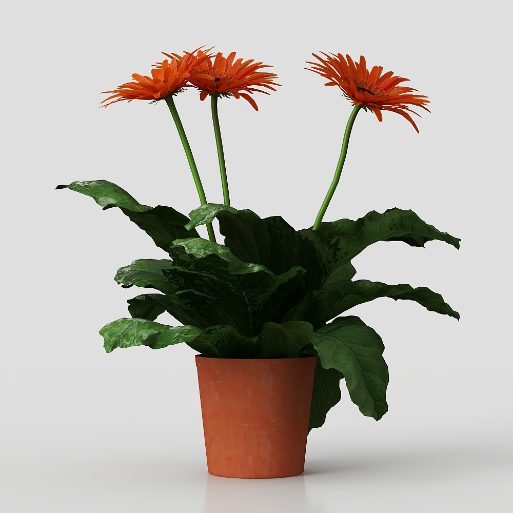 Đồ trang trí hoa hướng dương