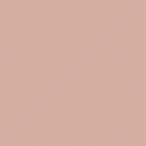 Wall Paint 3D Model