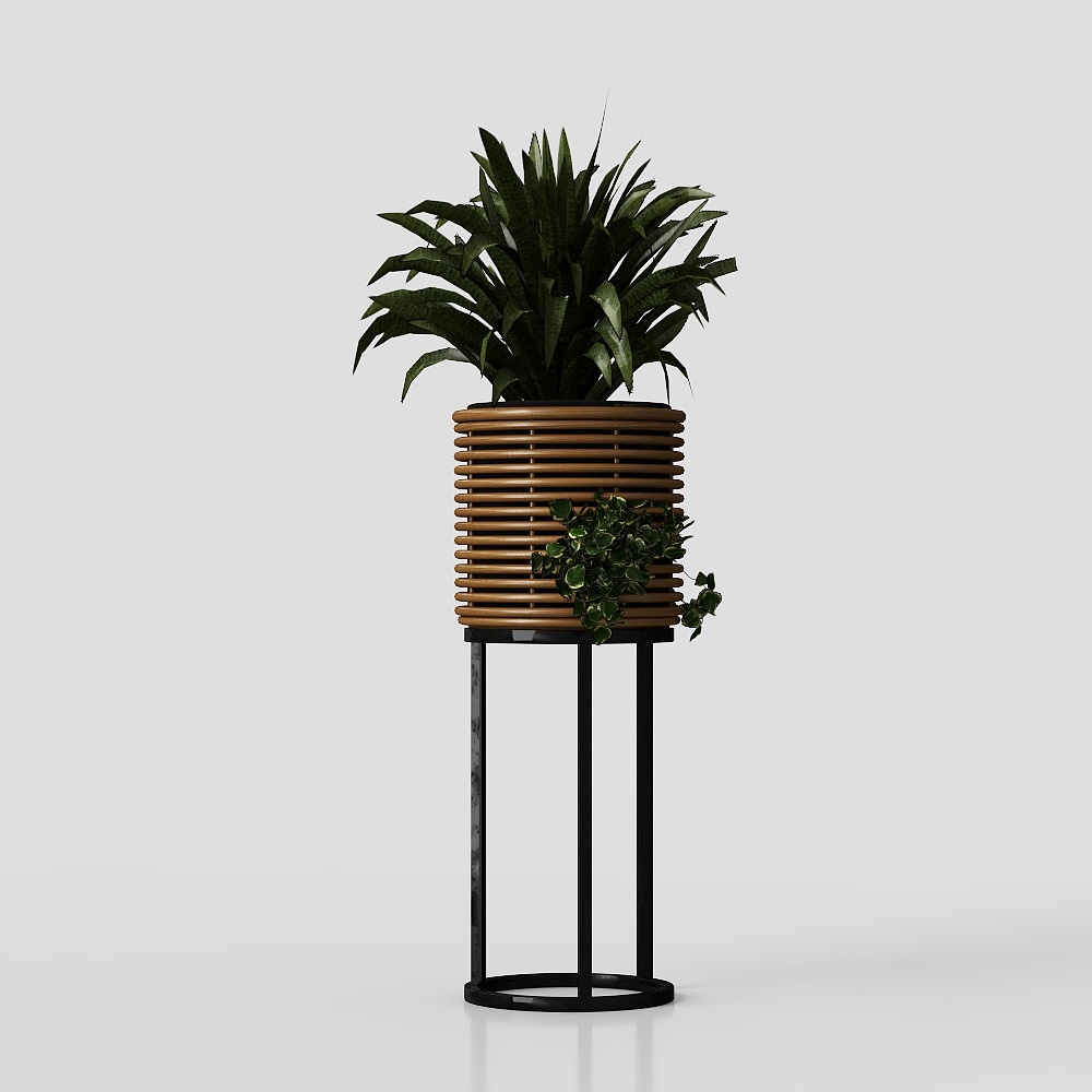 Indoor Plants in natural rattan Pot on Metal Base