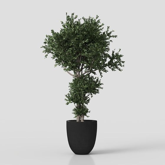 녹슨 콘크리트 화분 세트02 내부 식물