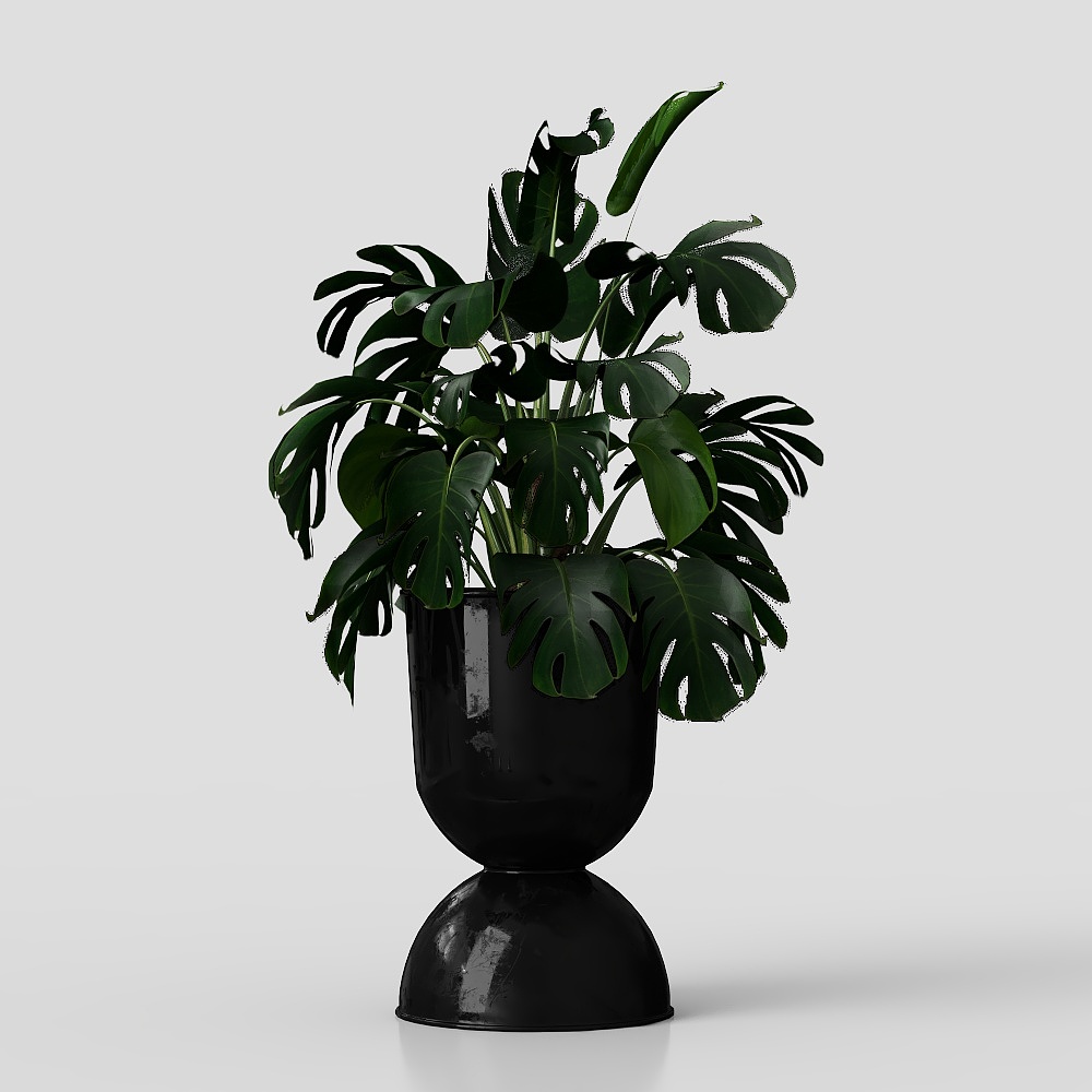 Indoor Plants in Ferm Living Bau Pot Large Set04
