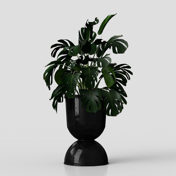 Monstera Plant in Black Vase 3D model for Stylish Spaces