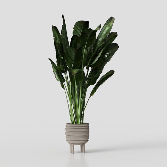 Ferm Living Bau Pot Large Set01の室内植物