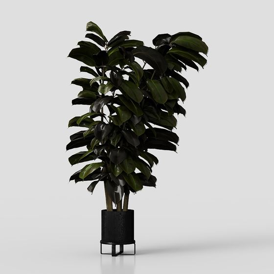 Zimmerpflanzen in Ferm Living Bau Topf Groß Set05