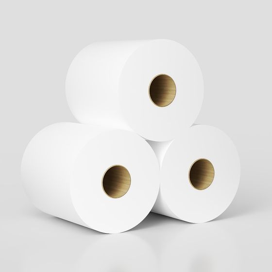 Toilet Paper 3D Model in White Color