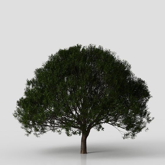 Lifelike Low-Polygon Tree 3D Model for Creative Projects