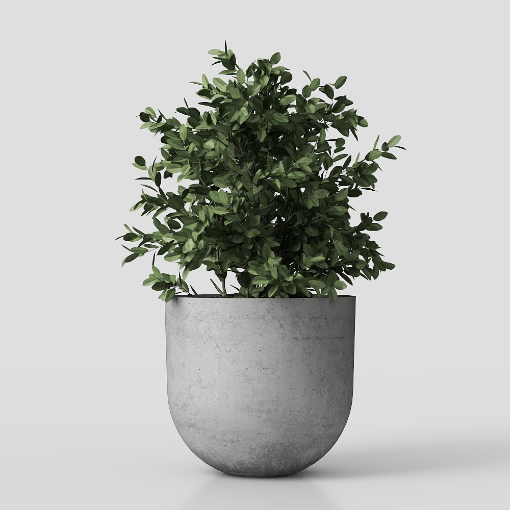 ต้นไม้01