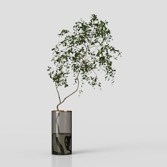 Lively Tree in a Glass Bottle 3D model