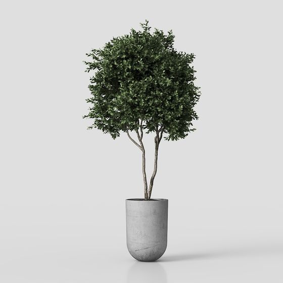 Urban Oasis Potted Plant 3D model