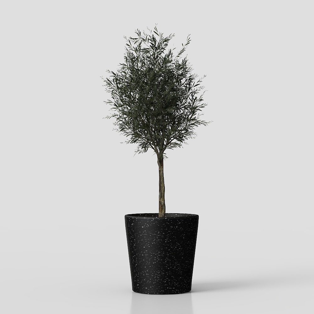 Collection indoor plant01