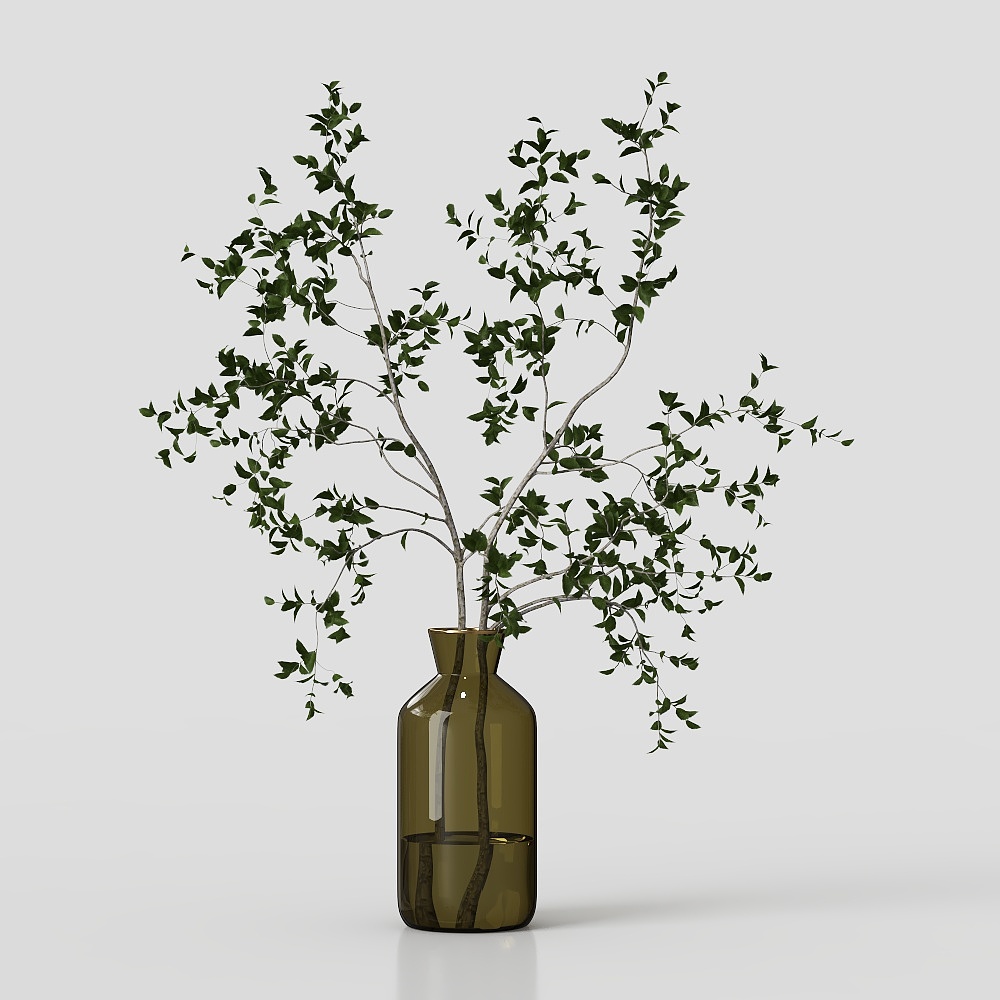 Collaction Indoor Plants03