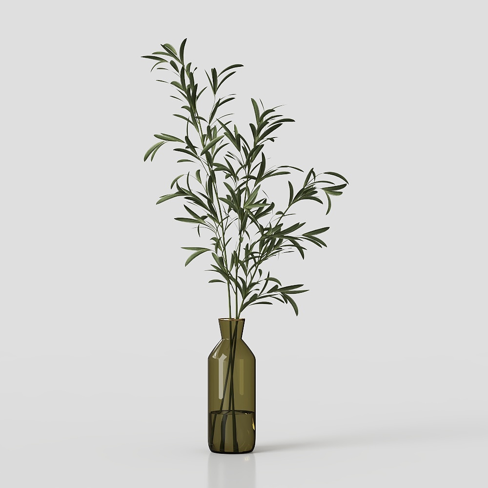 พืชในร่มคอลเลคชัน04